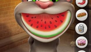 Talking Tom Cat screenshot 2