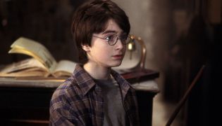 Harry Potter screenshot 2
