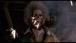 Home Alone screenshot 3