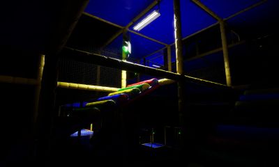 Backrooms: Escape Together 11