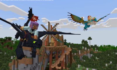 Minecraft How To Train Your Dragon 0