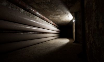 Backrooms: Escape Together 16