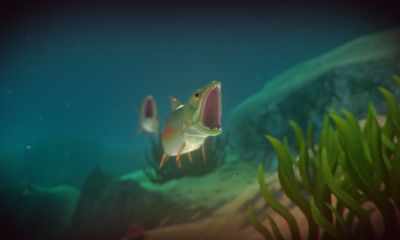 Feed and Grow: Fish 5